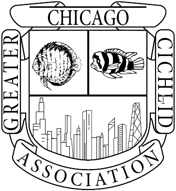 Greater Chicago Cichlid Association