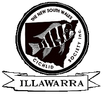 Illawarra Cichlid Society