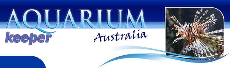 Aust Aquarium Keeper