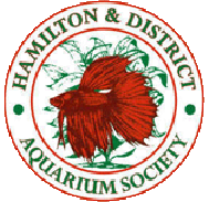 Hamilton & District Aquarium Society