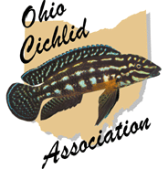 Ohio Cichlid Association